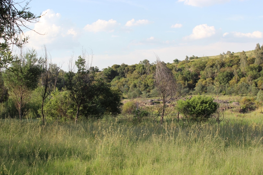 5 Bedroom Property for Sale in Deneysville Free State